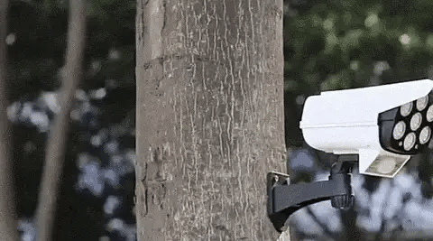 Cámara Vigilancia Solar con Sensor de Movimiento